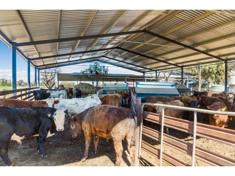 705 MCKENZIE ROAD, Echuca VIC 3564