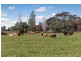 705 MCKENZIE ROAD, Echuca VIC 3564