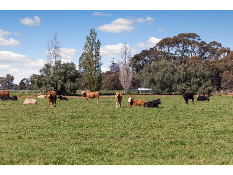 705 MCKENZIE ROAD, Echuca VIC 3564