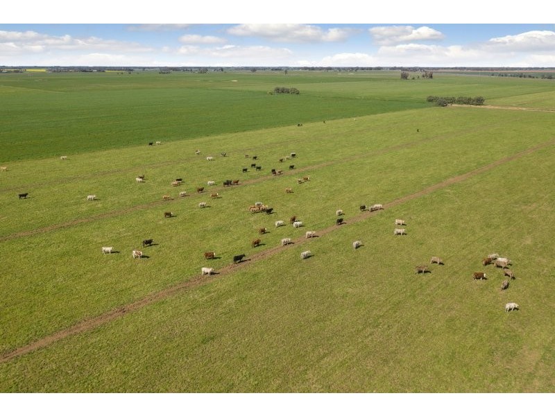 705 MCKENZIE ROAD, Echuca VIC 3564