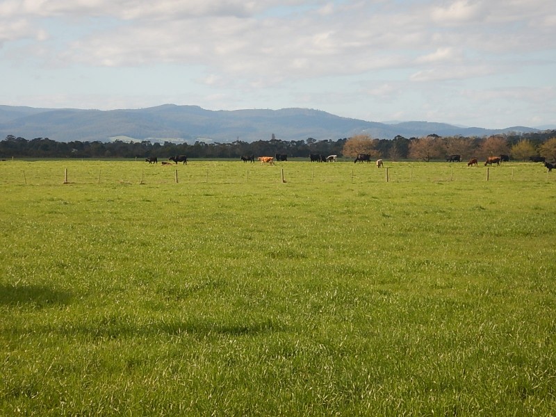 280 Edgar Road, Longwarry VIC 3816