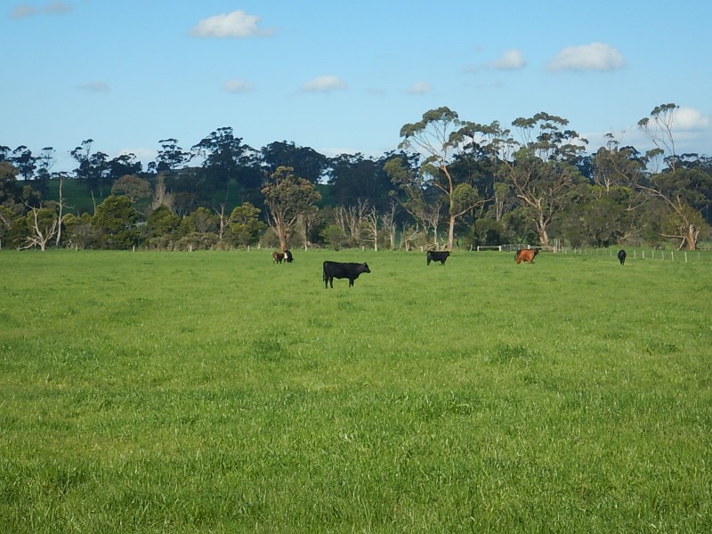 280 Edgar Road, Longwarry VIC 3816