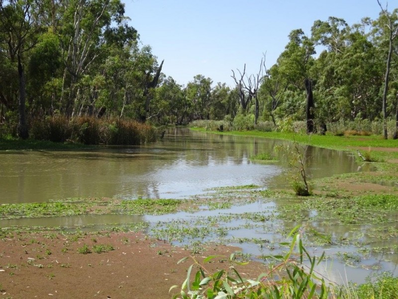 448 MOIRA LAKES ROAD, Barmah VIC 3639