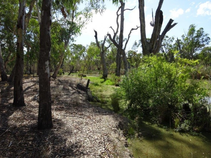 448 MOIRA LAKES ROAD, Barmah VIC 3639
