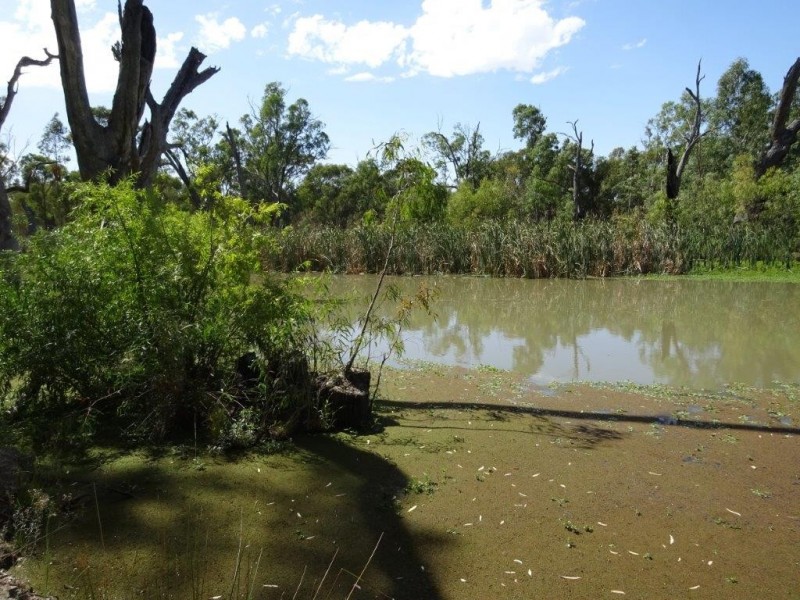 448 MOIRA LAKES ROAD, Barmah VIC 3639