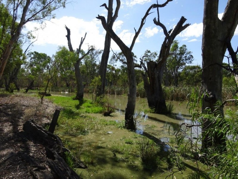 448 MOIRA LAKES ROAD, Barmah VIC 3639