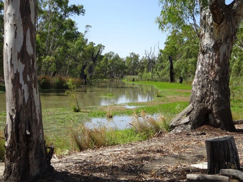 448 MOIRA LAKES ROAD, Barmah VIC 3639