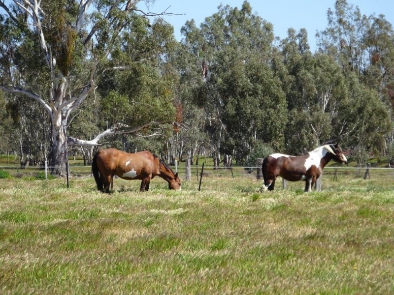 448 MOIRA LAKES ROAD, Barmah VIC 3639