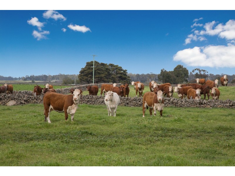 305 Foxhow – Pomborneit Road, Weerite VIC 3260