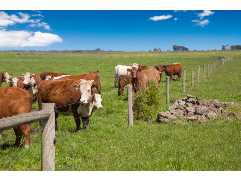 305 Foxhow – Pomborneit Road, Weerite VIC 3260