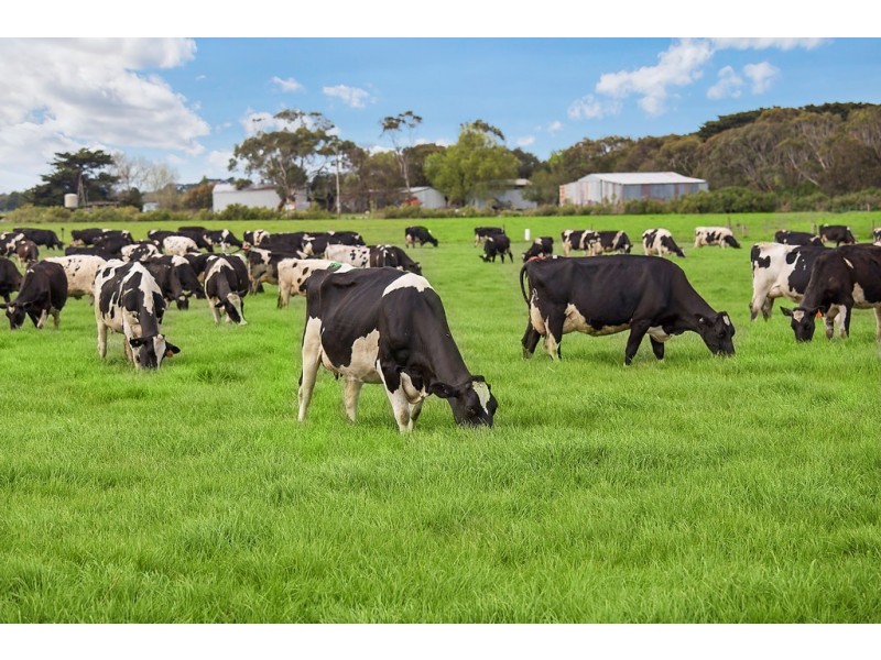 1351 HOPKINS HIGHWAY, Purnim VIC 3278