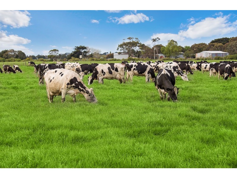 1351 HOPKINS HIGHWAY, Purnim VIC 3278