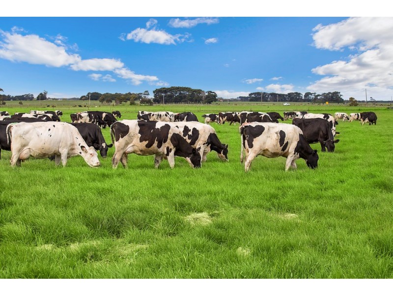 1351 HOPKINS HIGHWAY, Purnim VIC 3278