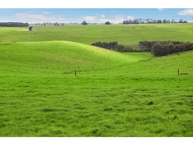 1351 HOPKINS HIGHWAY, Purnim VIC 3278