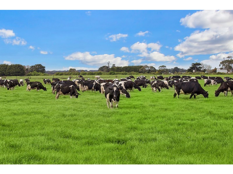 1351 HOPKINS HIGHWAY, Purnim VIC 3278