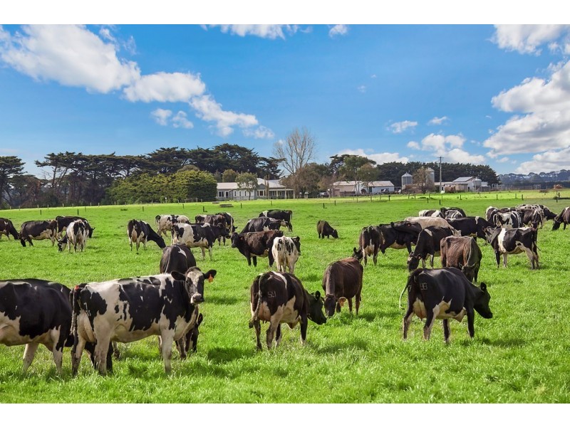 1351 HOPKINS HIGHWAY, Purnim VIC 3278