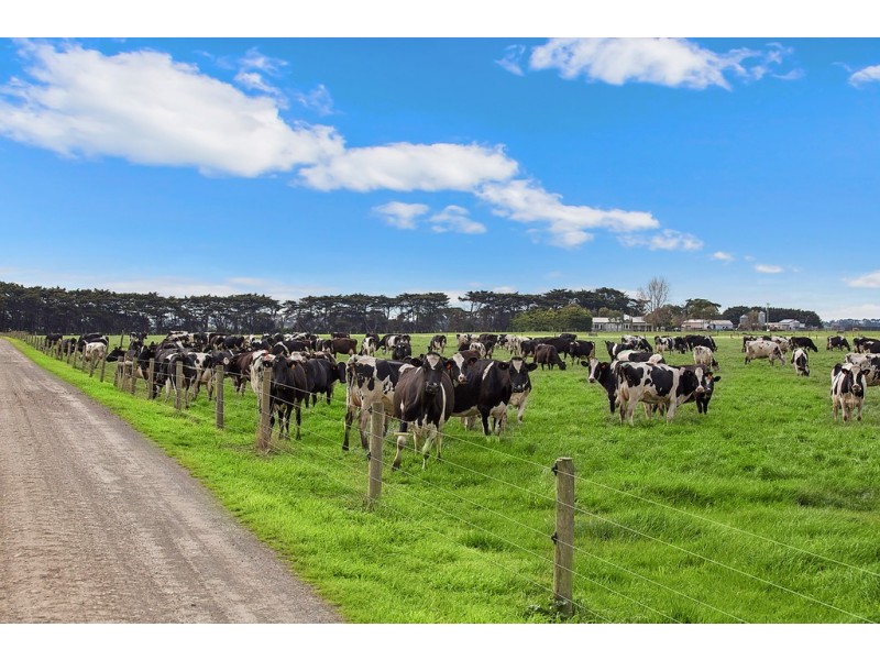 1351 HOPKINS HIGHWAY, Purnim VIC 3278