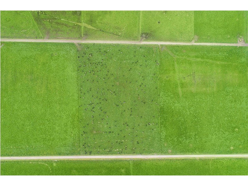 1351 HOPKINS HIGHWAY, Purnim VIC 3278