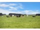 623 TOWER HILL ROAD, Yangery VIC 3283