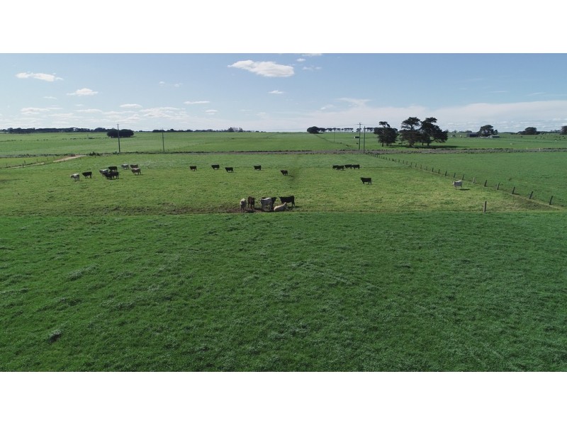 623 TOWER HILL ROAD, Yangery VIC 3283