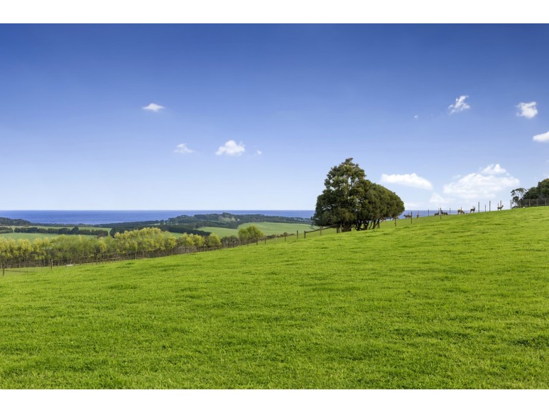 289 Meakins Road, Flinders VIC 3929