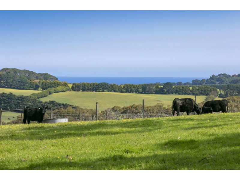 289 Meakins Road, Flinders VIC 3929