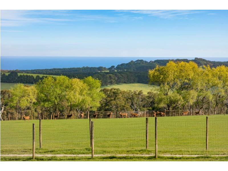 289 Meakins Road, Flinders VIC 3929