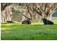 289 Meakins Road, Flinders VIC 3929