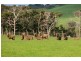 289 Meakins Road, Flinders VIC 3929