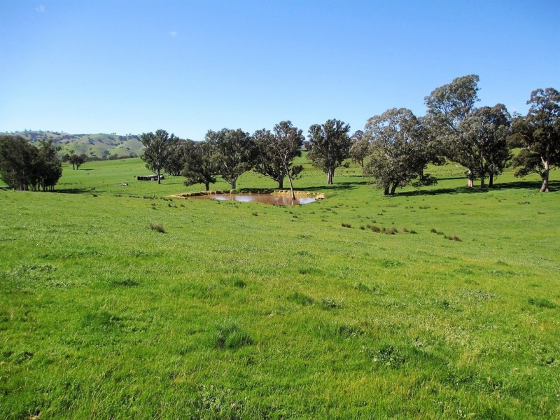 2222 Goulburn Valley Hwy, Alexandra VIC 3714