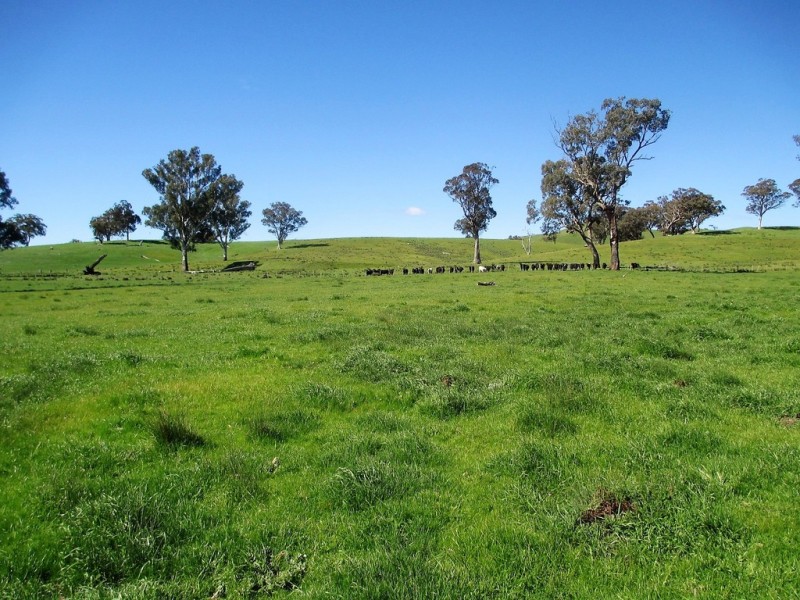 2222 Goulburn Valley Hwy, Alexandra VIC 3714