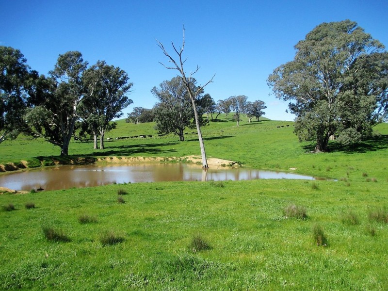 2222 Goulburn Valley Hwy, Alexandra VIC 3714