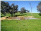 2222 Goulburn Valley Hwy, Alexandra VIC 3714