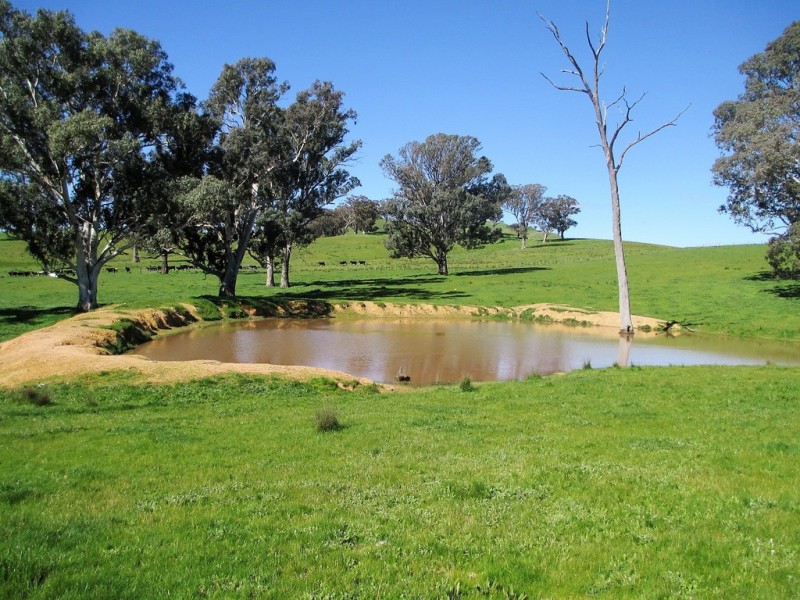 2222 Goulburn Valley Hwy, Alexandra VIC 3714