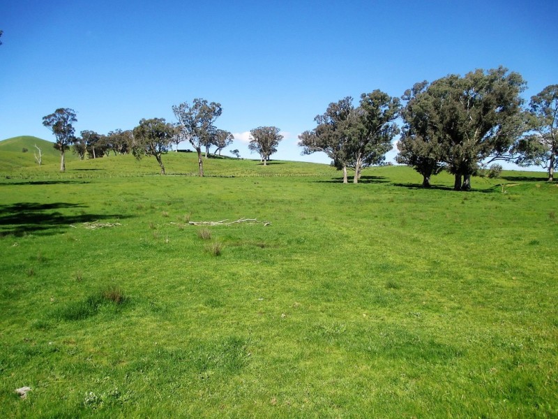 2222 Goulburn Valley Hwy, Alexandra VIC 3714