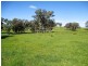 2222 Goulburn Valley Hwy, Alexandra VIC 3714