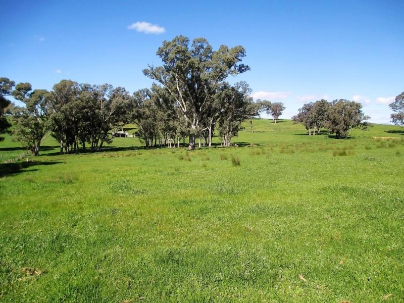 2222 Goulburn Valley Hwy, Alexandra VIC 3714