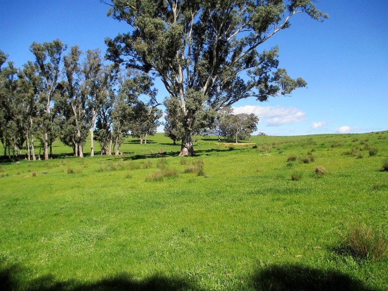 2222 Goulburn Valley Hwy, Alexandra VIC 3714