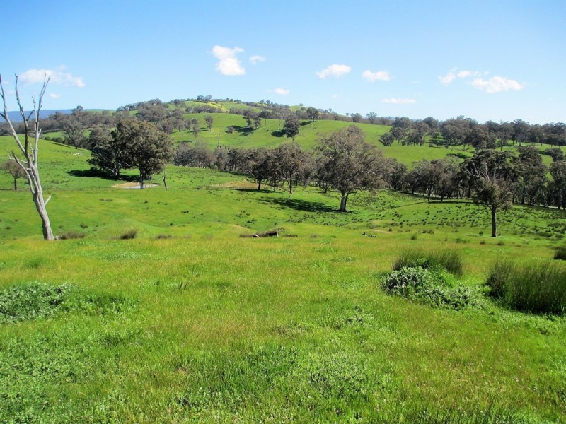 2222 Goulburn Valley Hwy, Alexandra VIC 3714