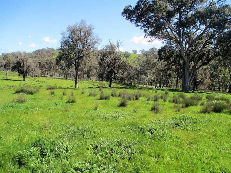 2222 Goulburn Valley Hwy, Alexandra VIC 3714