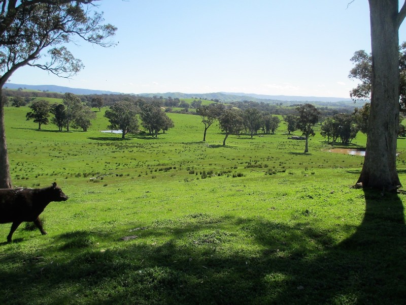 2222 Goulburn Valley Hwy, Alexandra VIC 3714