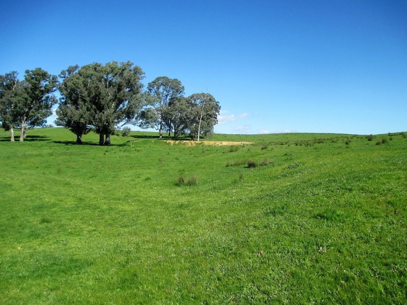 2222 Goulburn Valley Hwy, Alexandra VIC 3714