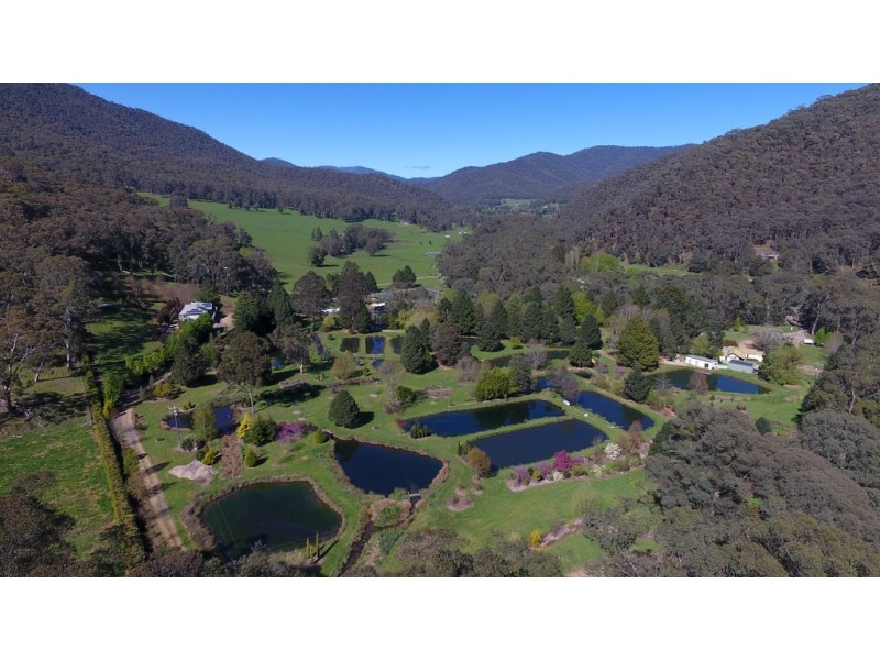 10 Stony Creek Road, Harrietville VIC 3741