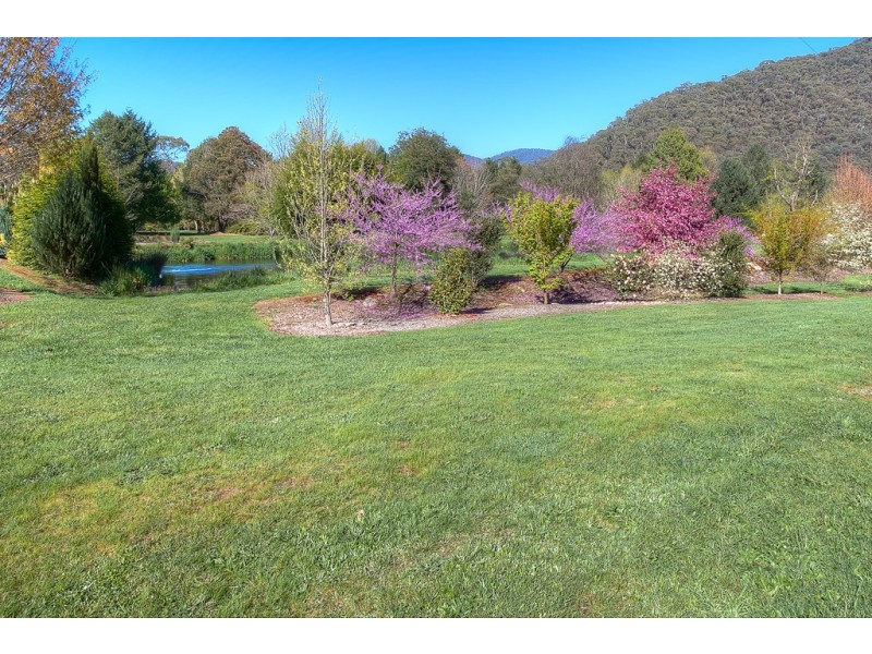 10 Stony Creek Road, Harrietville VIC 3741