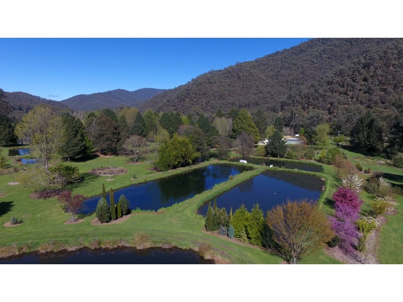 10 Stony Creek Road, Harrietville VIC 3741