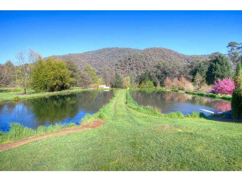 10 Stony Creek Road, Harrietville VIC 3741