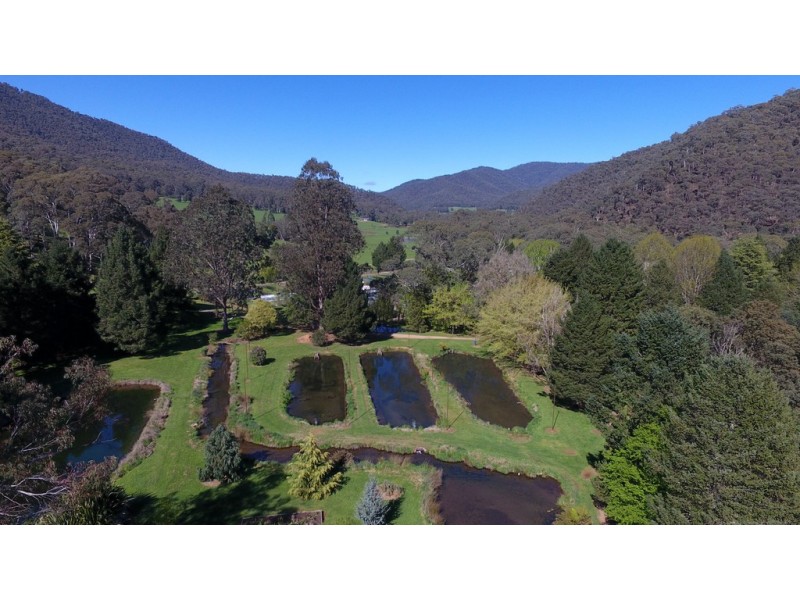 10 Stony Creek Road, Harrietville VIC 3741