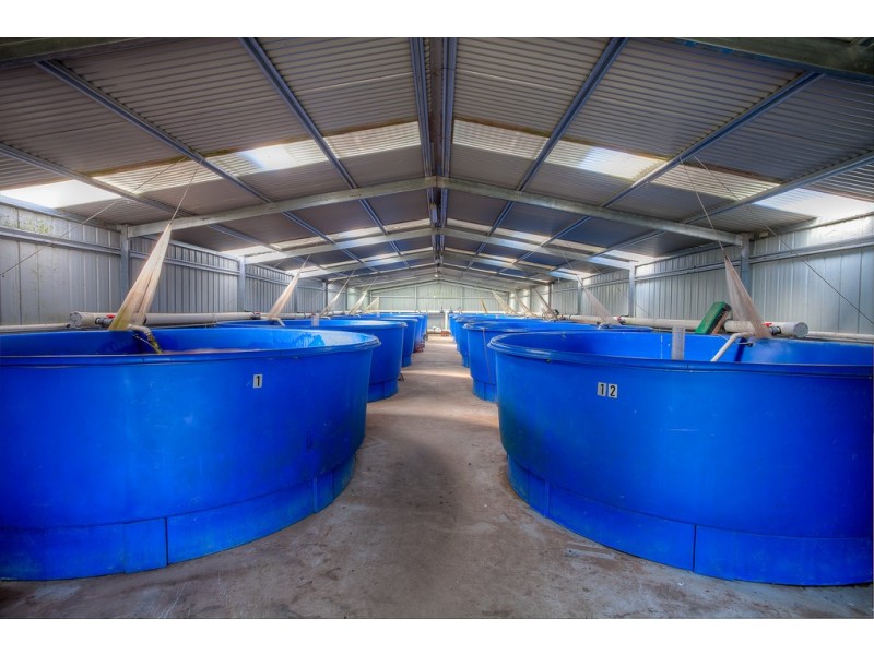 10 Stony Creek Road, Harrietville VIC 3741