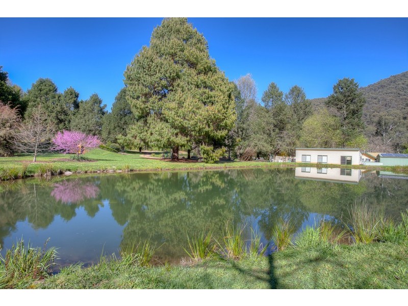 10 Stony Creek Road, Harrietville VIC 3741