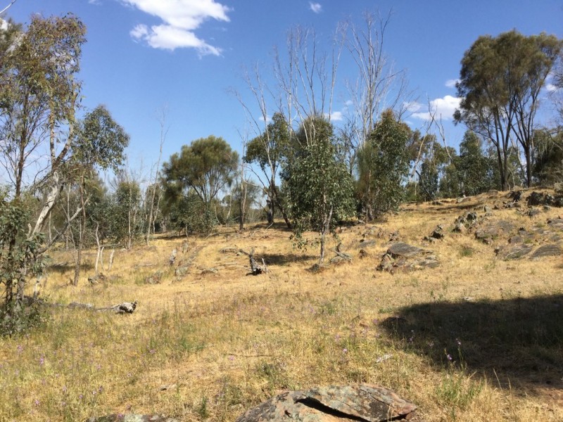 . DUNLOP ROAD, St Arnaud VIC 3478